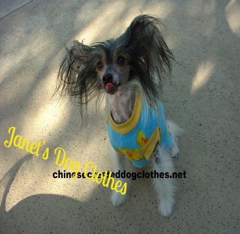 chinesecresteddogclothes.net
